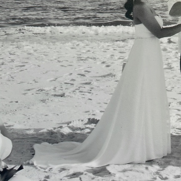 GALINA SIGNATURE From David’s Bridal Wedding Dress - Picture 5 of 16